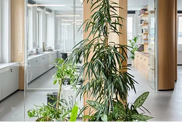 Contact avec la nature dans les hôpitaux