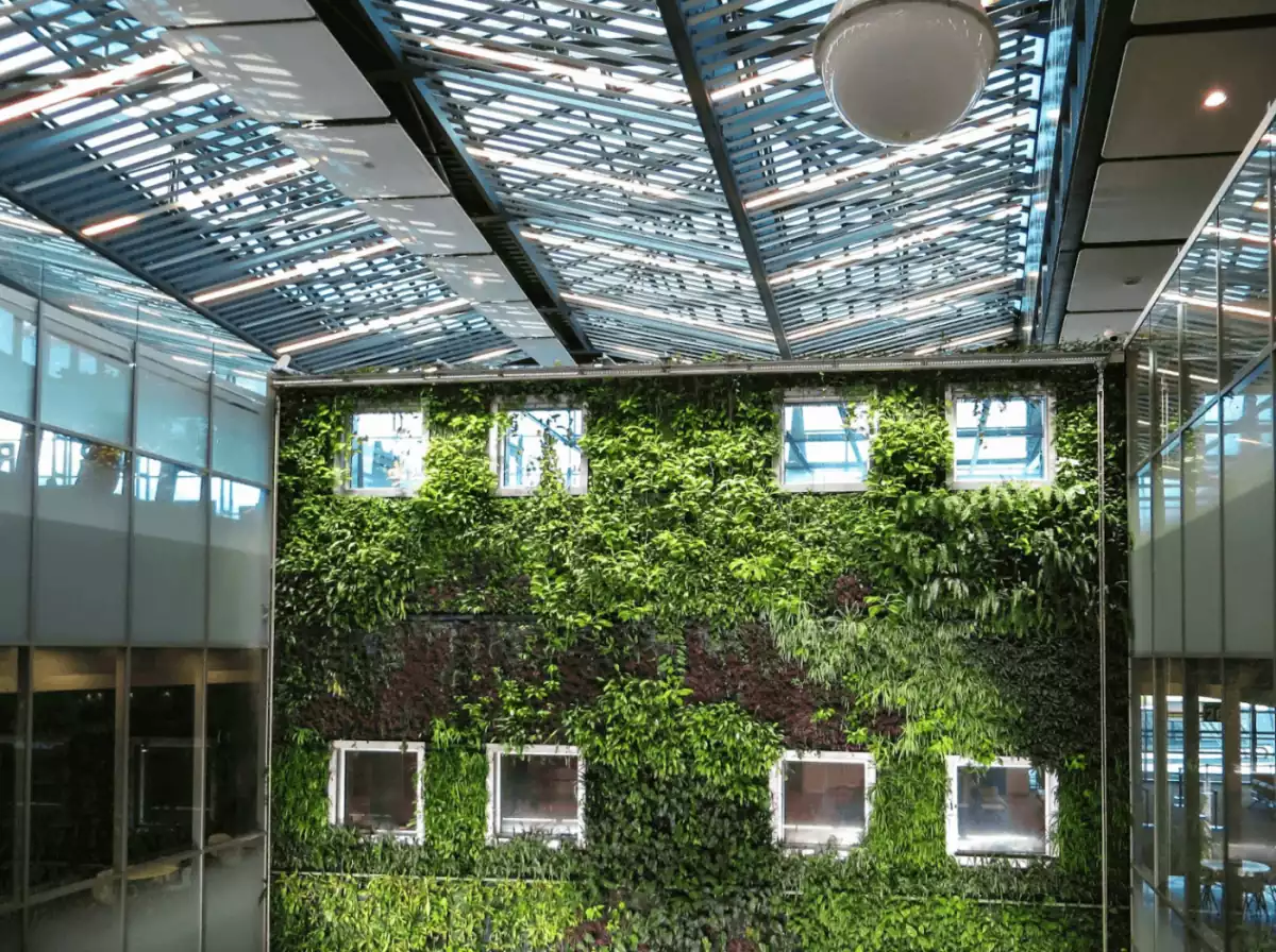 Exploring the eco-friendly process of preserving plants for vertical gardens