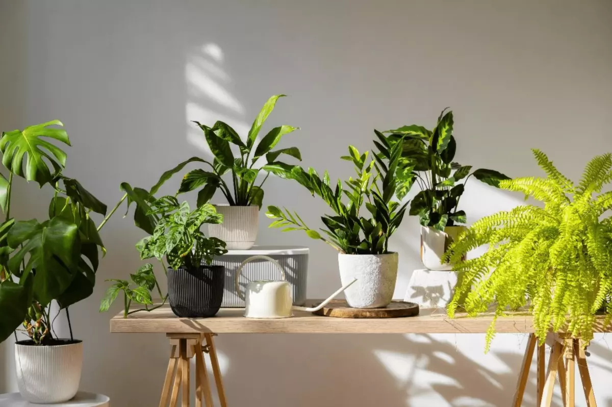 Exploring the magic of Biophilic Design: living plants or artificial ones?